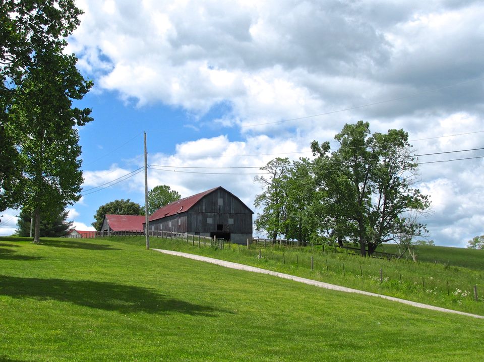 A weathered barn and a red shed on a mown green slope with a path running up it, under heaped summer cloud