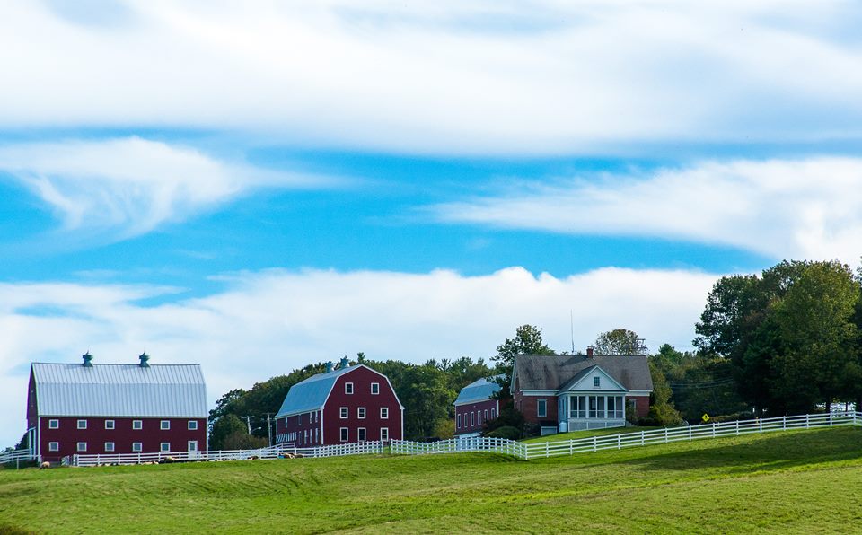 Two red barns and a white farmhouse on a rise of green pasture behind a white rail fence, under a wide sky of streaky cloud