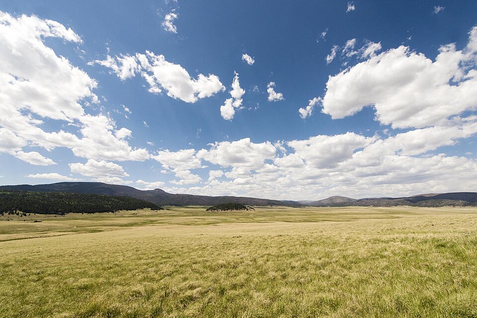 A wide valley of pale summer grass running to low forested mountains, under a blue sky piled with white cloud