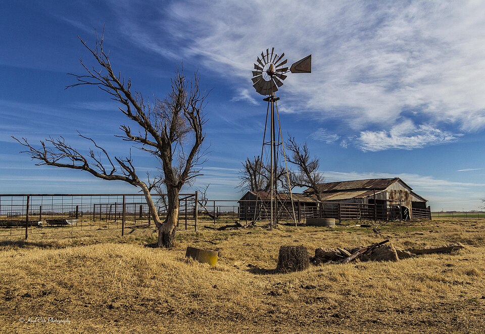 A windmill, a bare tree and a tin-roofed barn on dry winter grass behind a pipe fence