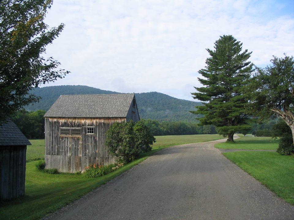 A gravel farm lane running past an old board barn and a tall pine, with a wooded mountain behind